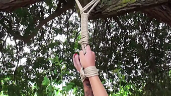 Bdsm Stripping And Whipping In The Great Outdoors