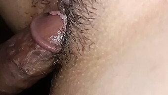 ফেমডম দ্বারা টিন (18+) হার্ড ফাক পেয়েছে