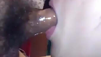 China Amateur Traga Semen