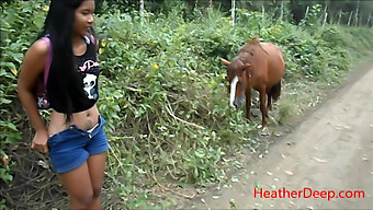 Pisse En Hd Sur Un Cheval En Pleine Nature