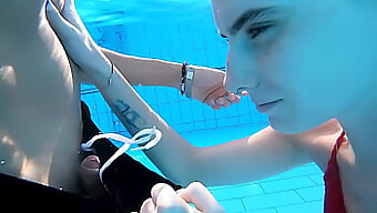 La Milf Amateur Darcy Dark Y La Estudiante Nashidni Tienen Encuentros En La Piscina Y La Habitación Del Hotel