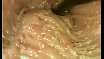 A Look Inside The Vagina