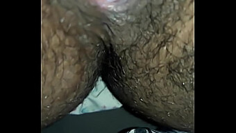 Penis And Vagina Play With Big Tits And Asshole